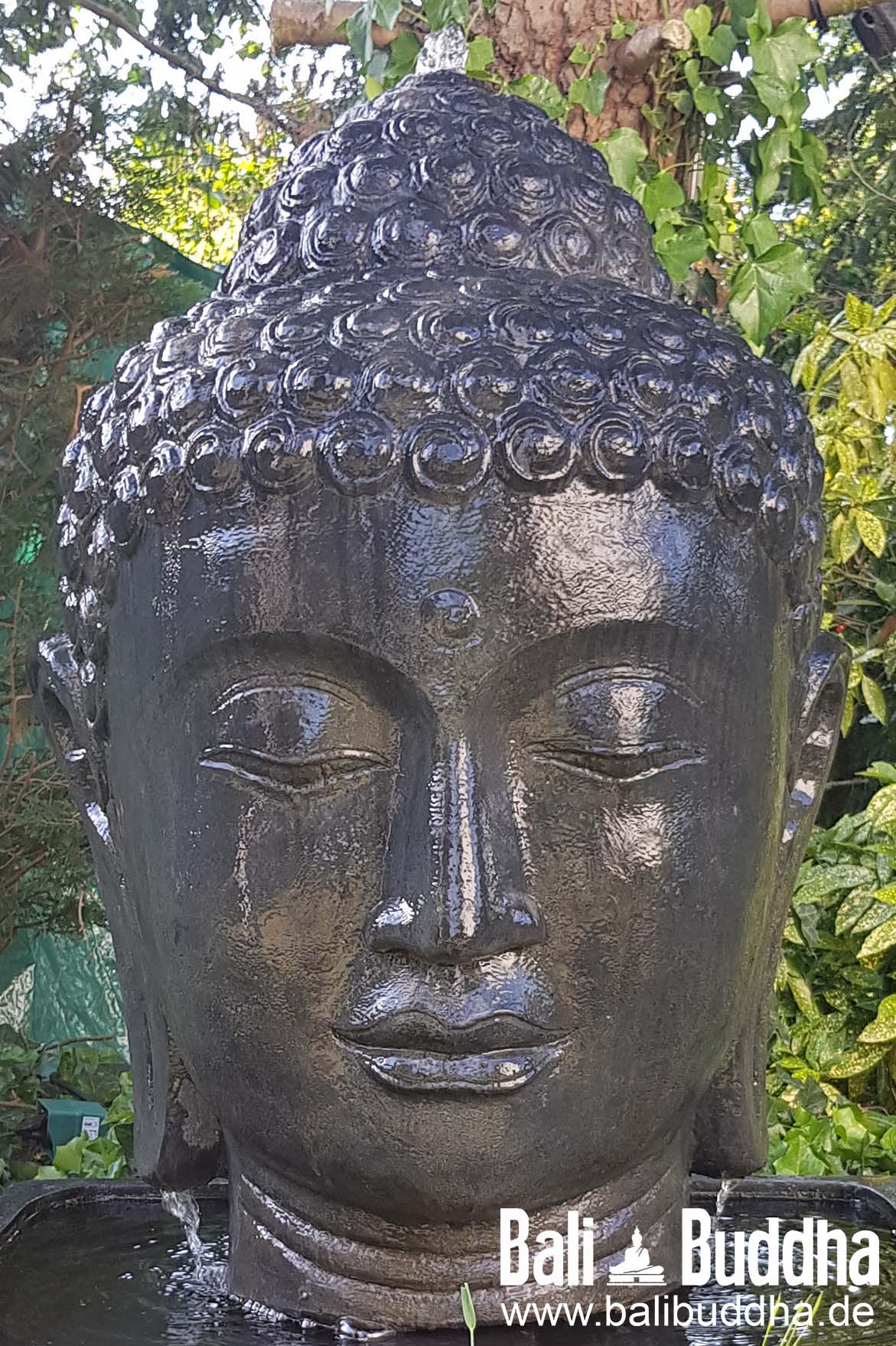 Buddha Brunnen Kopf